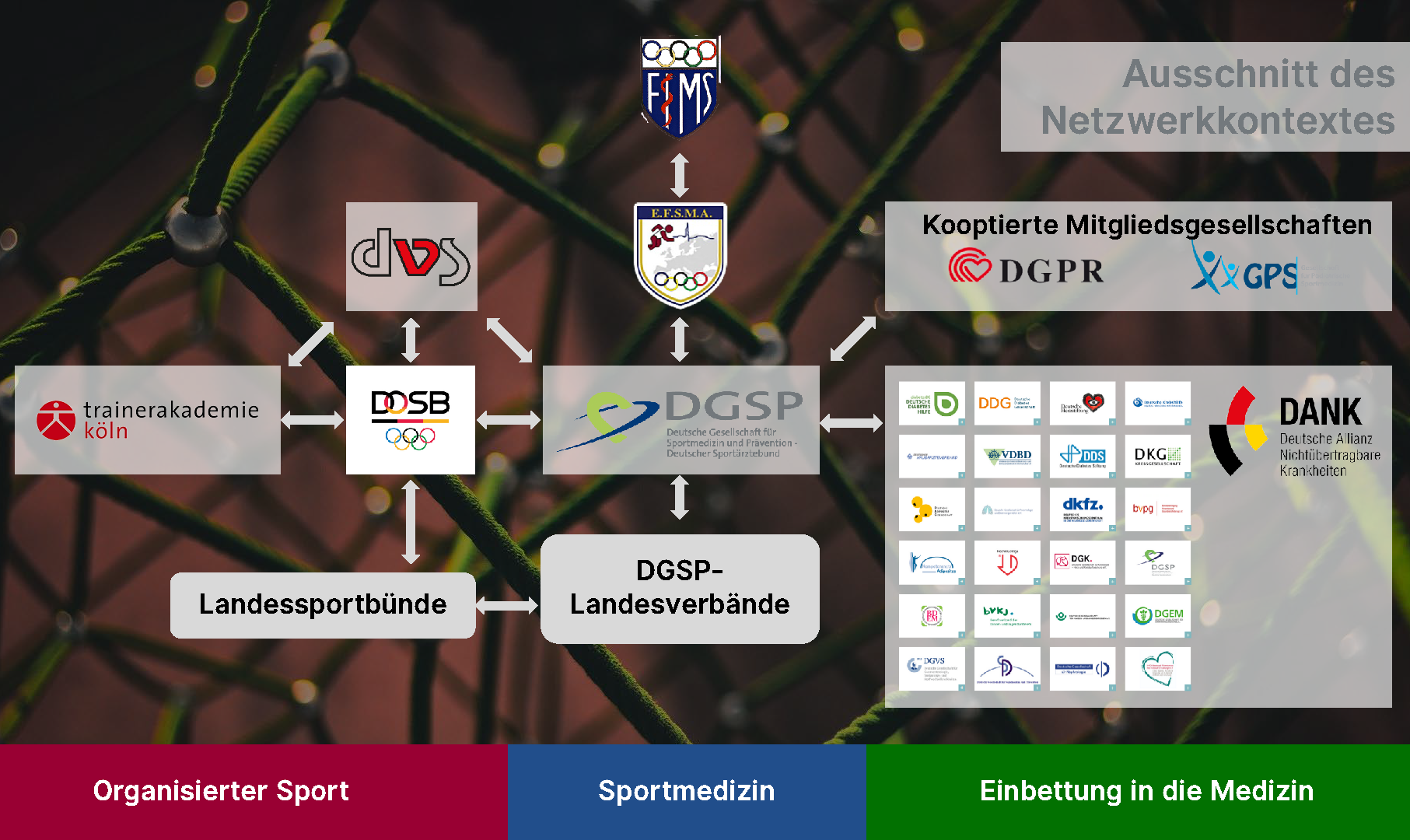 Die Rolle der DGSP in Sport und Medizin